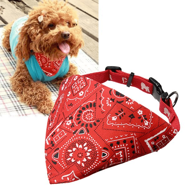 custom dog handkerchiefs