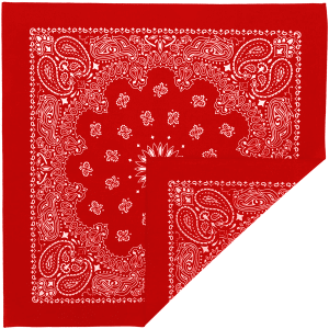 Screen Printed Bandanas