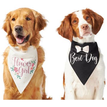 Custom Dog Bandanas