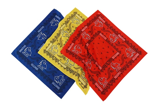 Printed Bandana