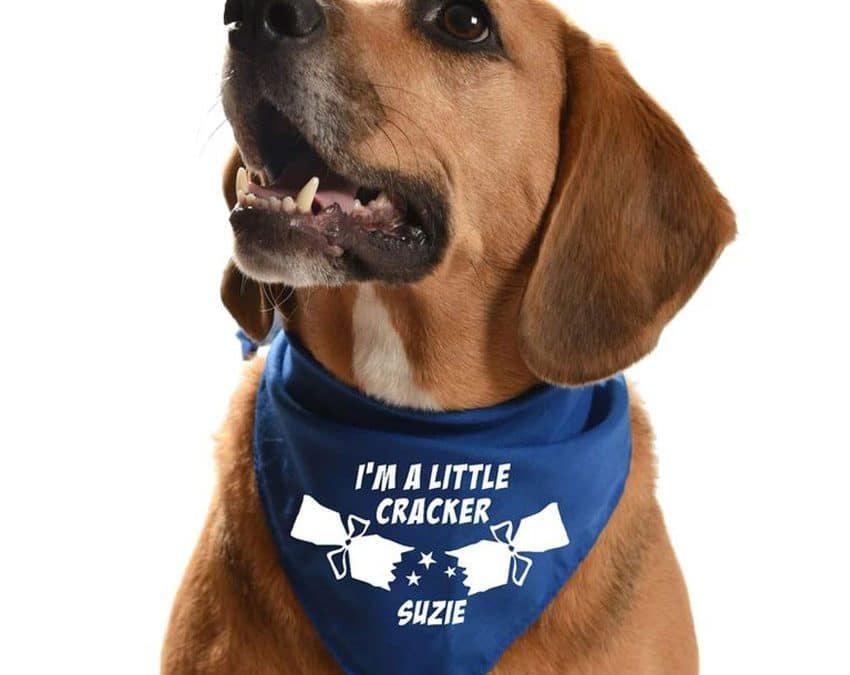 Custom Dog Bandanas