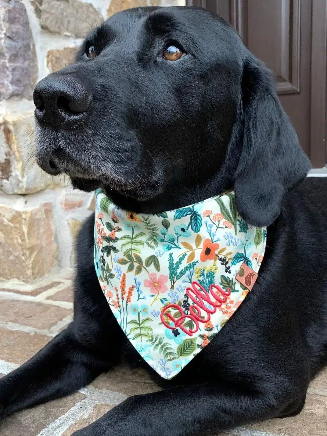 Logo Dog Bandanas